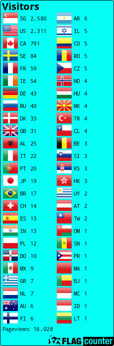 Flag Counter