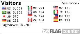 Flag Counter