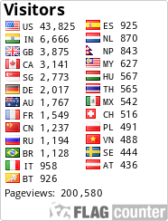 Flag Counter