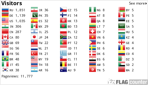 Flag Counter