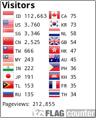 Flag Counter